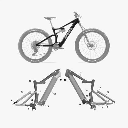 Amflow Pl Carbon (2025 - present)