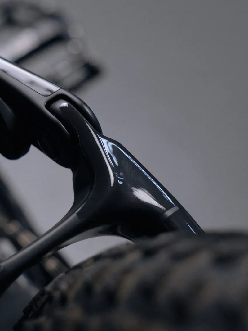 Specialized Stumpjumper Carbon (2025 - present)